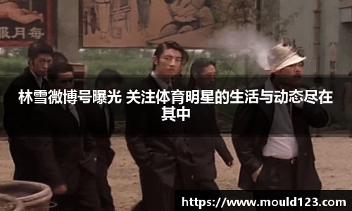 林雪微博号曝光 关注体育明星的生活与动态尽在其中